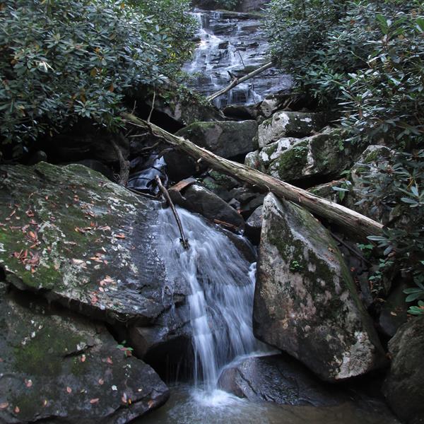 Water cascading down moss and lichen covered grey rocks with large branches across the falls