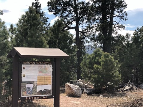 Photo of the Blackberry Trailhead with information sign on the left and pine trees behind it.