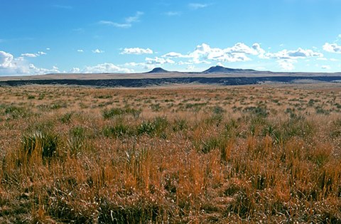 A table shaped rock formation in the distance