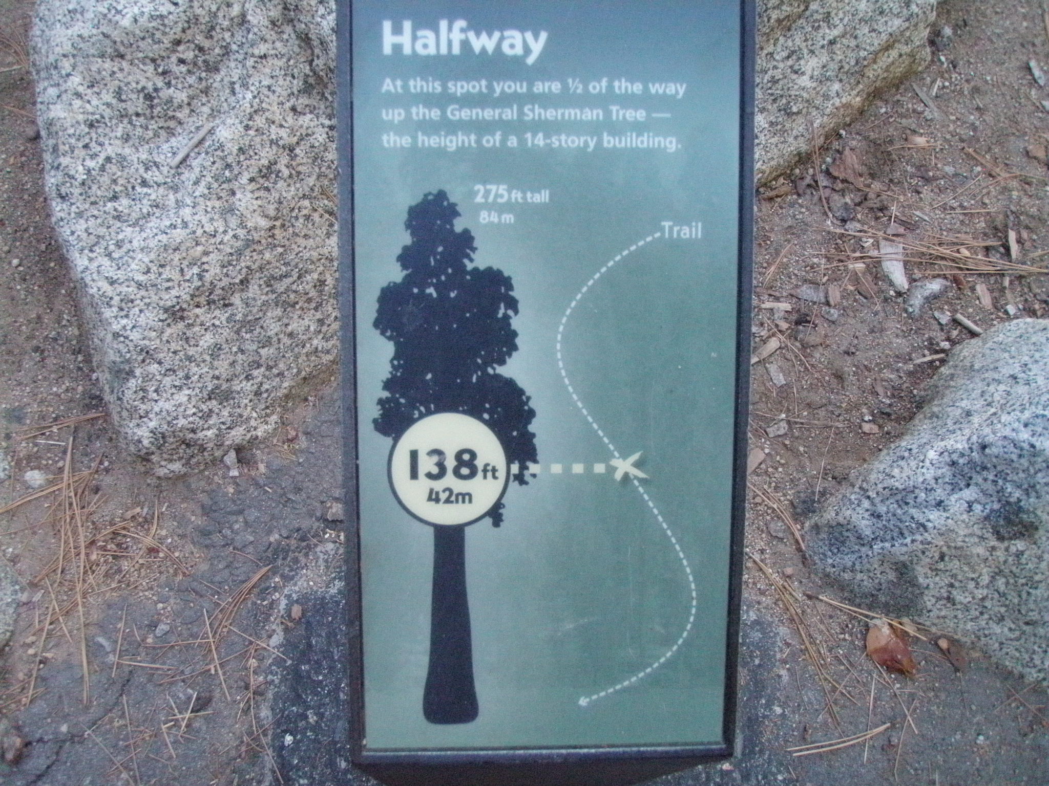 General Sherman Tree Trail: Halfway Point