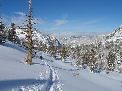 A skier skis down a trail with a snowy landscape in the background.