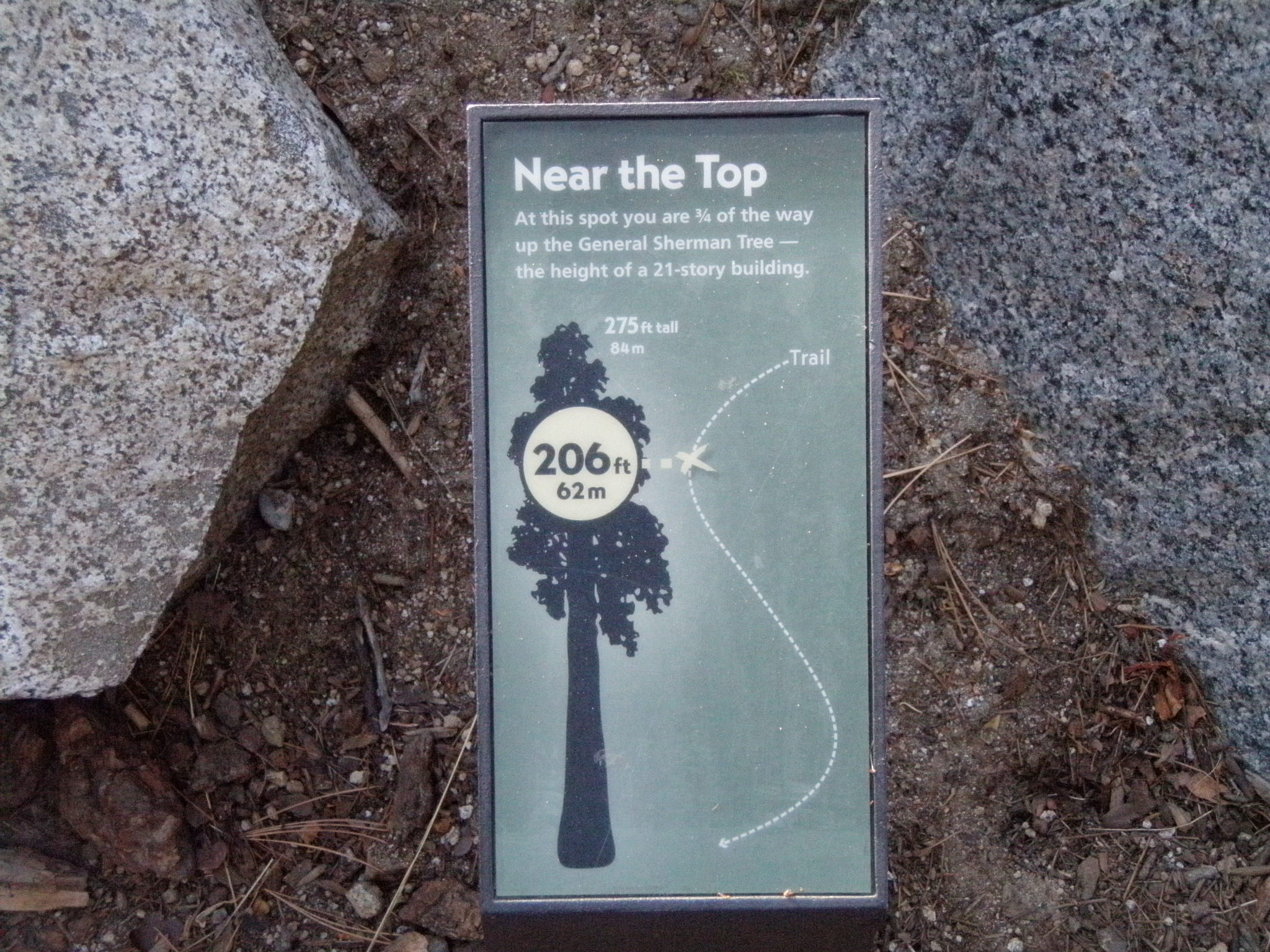 General Sherman Tree Trail: Near the Top