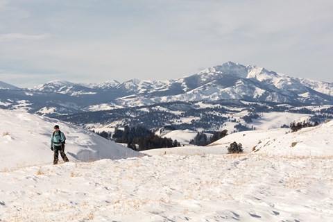 A skier travels along a trail with a mountain peak in the distance.
