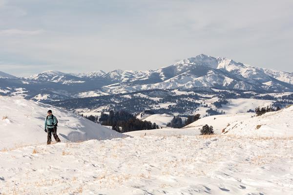 A skier travels along a trail with a mountain peak in the distance.