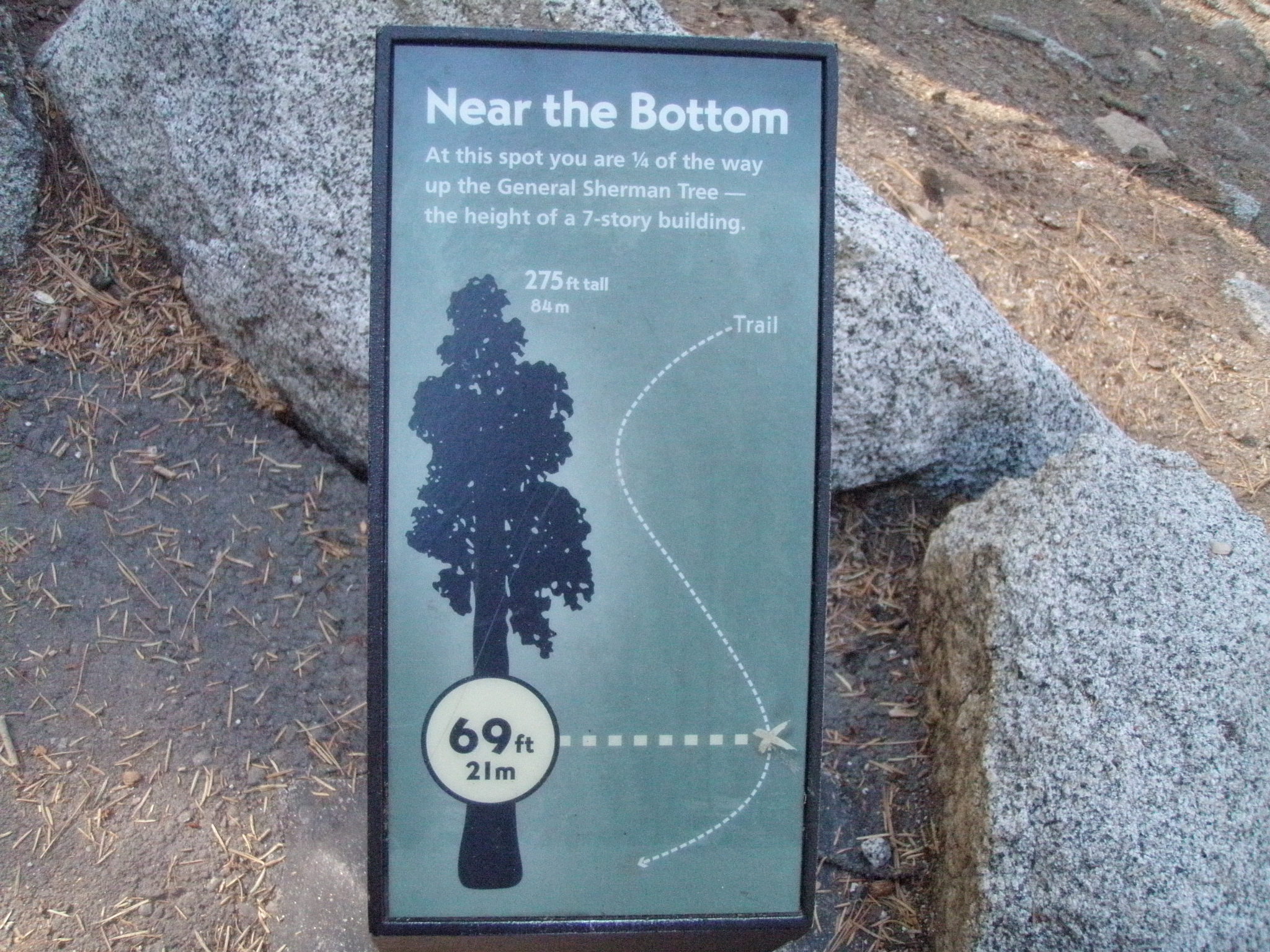 General Sherman Tree Trail: Near the Bottom