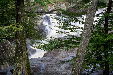 A white, cascading waterfall flowing through boulders in a forest.