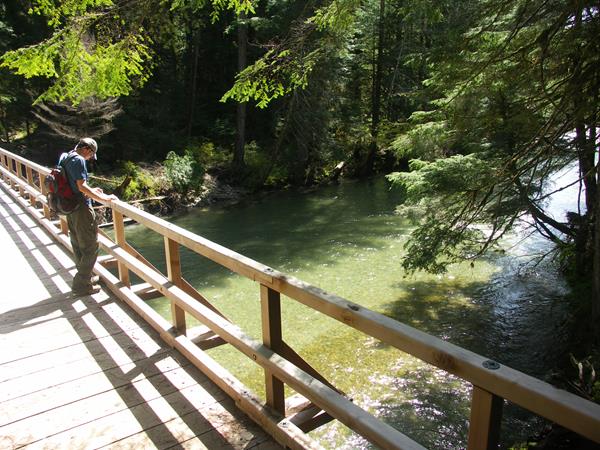 A hiker stands on a bridge looking down at the creek.