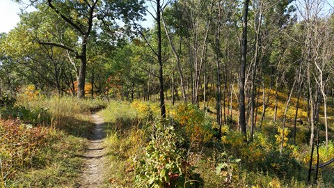 Hiking the Dunes