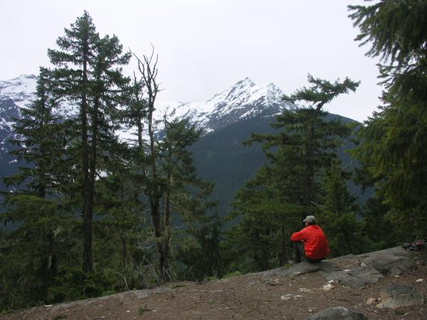 A person sits in the forest looking at a mountain view.