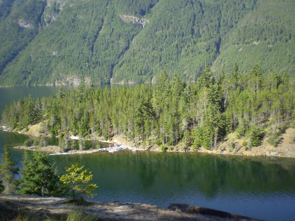 A view of a lake with a forested shoreline.