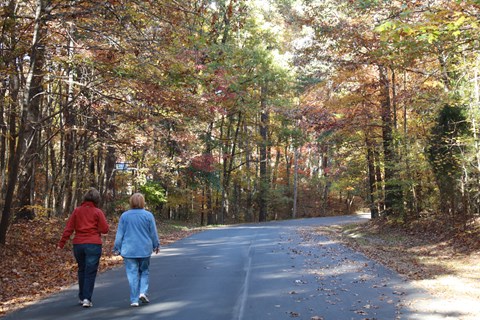 Two women walk down paved road surrounded by trees