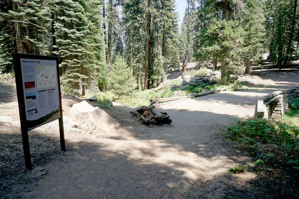 The Muir Grove Trailhead sign sits in the foreground of a dirt path with trees on each side.