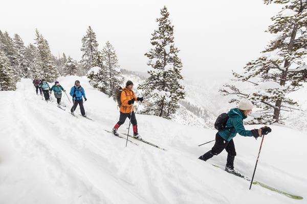 A group of skiers travel on a trail along the edge of a snow-covered canyon.