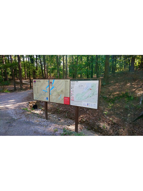 Three trail head signs line the front of a trailhead that leads into the forest.