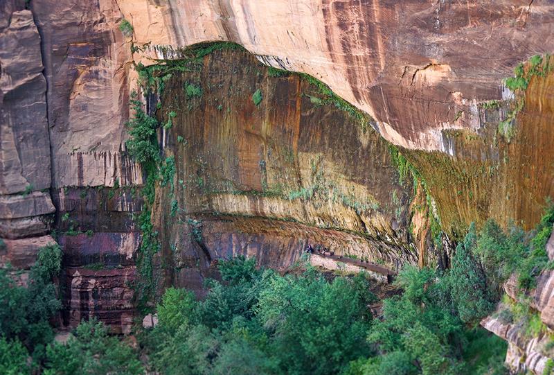 Weeping Rock