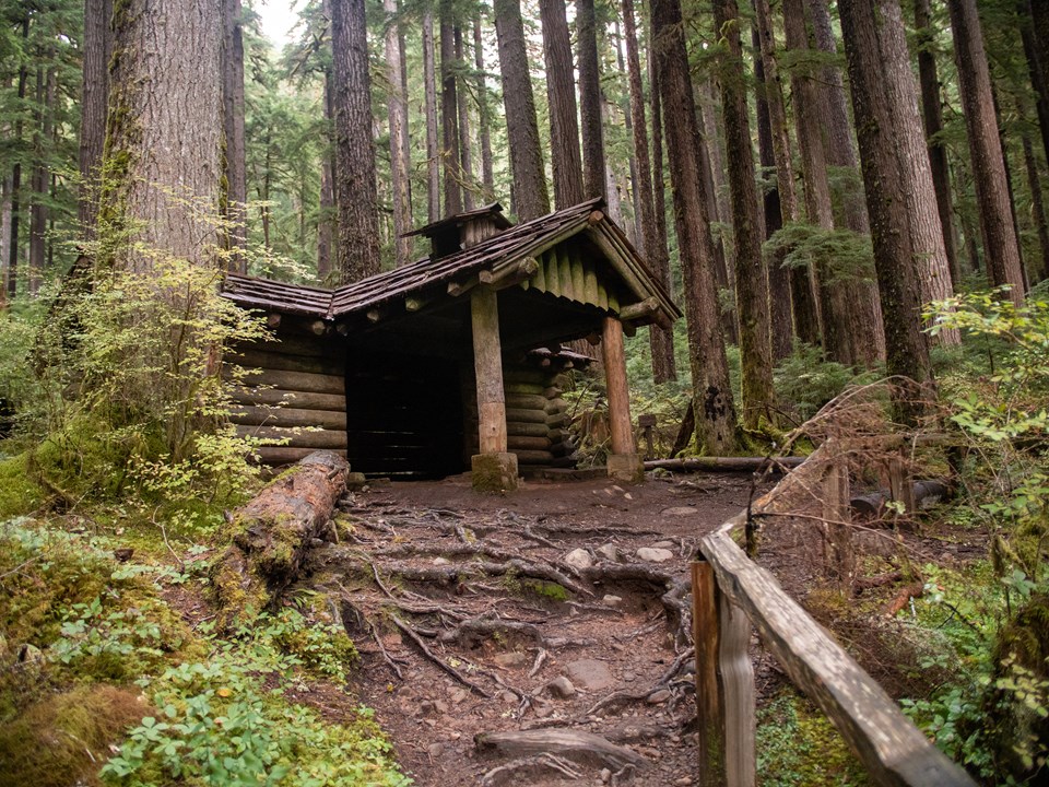A path with a railing and many tree roots across it leads up to a log cabin.
