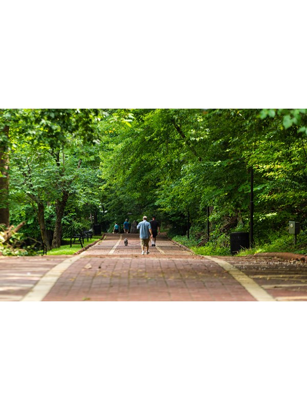 A man walks with his dog down a red brick path surrounded by bright green trees.