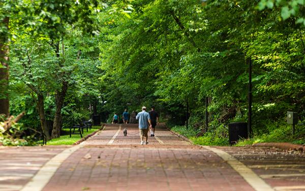 A man walks with his dog down a red brick path surrounded by bright green trees.