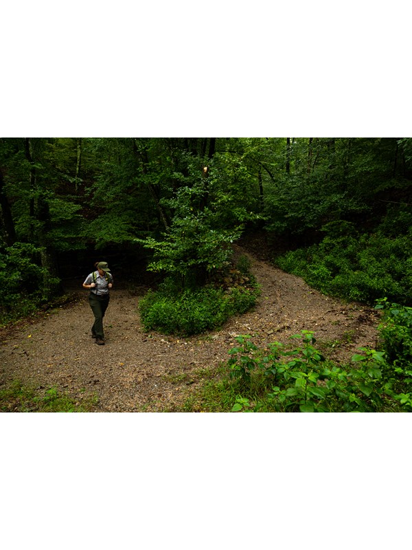 A ranger in uniform walks up the curved trail through the forest.