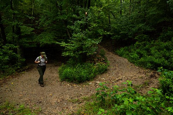A ranger in uniform walks up the curved trail through the forest.