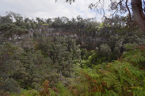 Forested pit crater surrounded by ferns