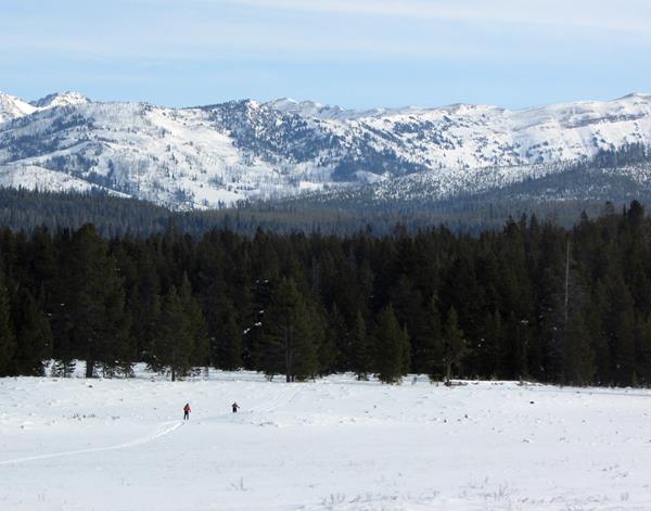 Two skiers are dwarfed by the landscape of forests and moutains in the distance.