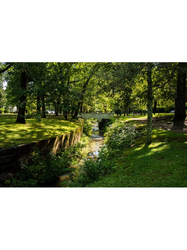 A white foot bridge crosses over a small creek amidst a vibrant open park with tall trees.