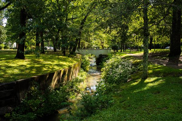 A white foot bridge crosses over a small creek amidst a vibrant open park with tall trees.