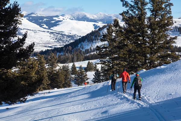 Three skiers travel downhill towards mountains in the distance.