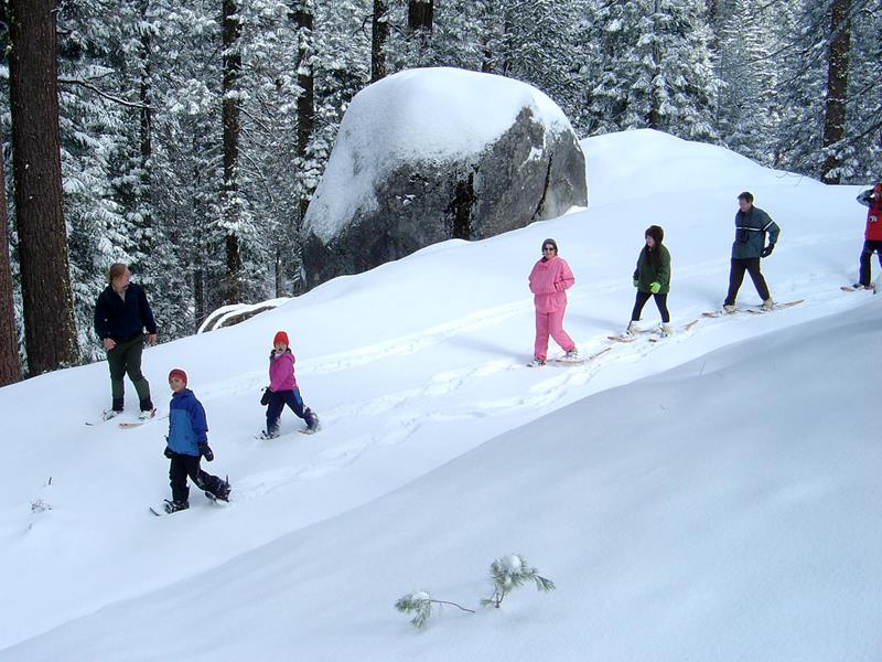 Wolverton Winter Trail
