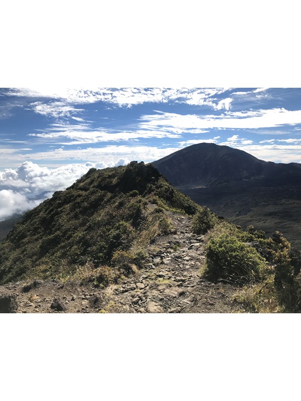 a rocky trail follows a ridgeline surrounded by shrubs.