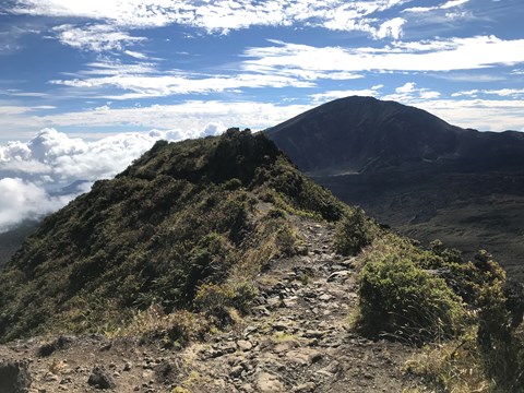 A rocky trail follows a ridgeline surrounded by shrubs.