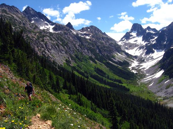 A hiker on a trail in a meadow full of wildflowers with mountains in the distance.
