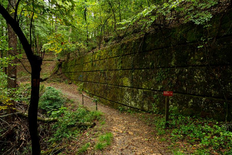 Oak Trail