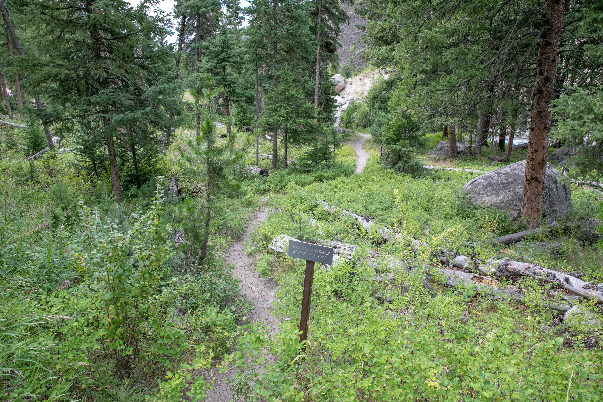 Tower Creek Trailhead