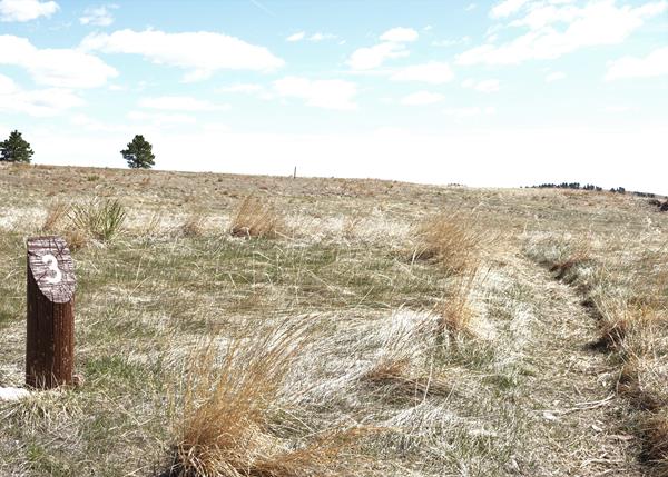 Post #3 Cooperative Living