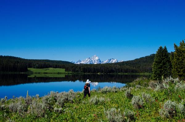 A hiker walks along the lakeshore with mountains in the background.