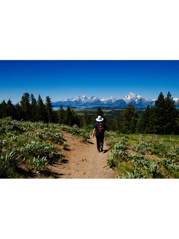 A hiker walks down a trail towards a mountain range.