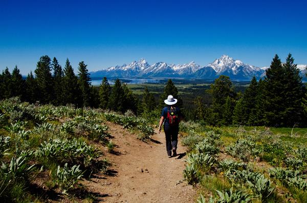 A hiker walks down a trail towards a mountain range.