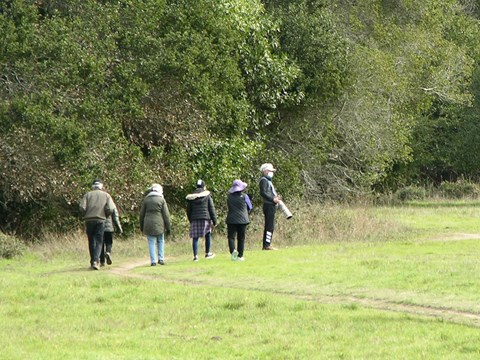 Six day hikers walking along a narrow trail along the edge of a meadow.