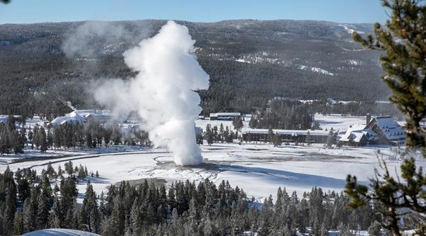 A geyser in the middle of a snowy field erupts steam and water high into the air.