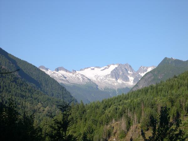 View of a distant mountain with forested slopes in the foreground.