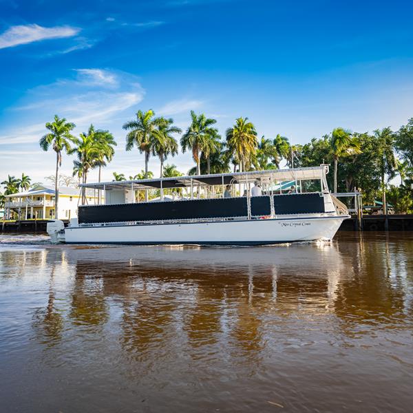 A large pontoon boat with canvas cover floats in the tannin-colored water with palm trees behine.