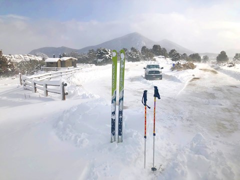 Skis and poles sticking upright in the snow.