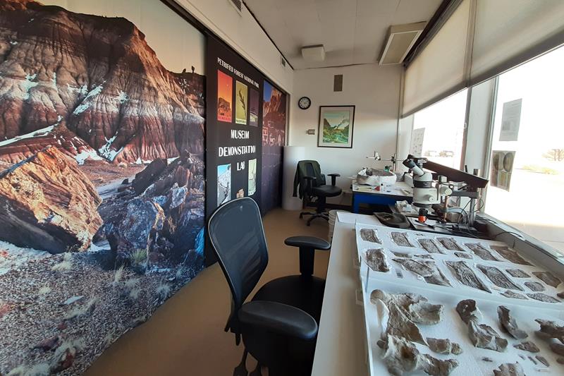 Peek into the Paleo Lab
