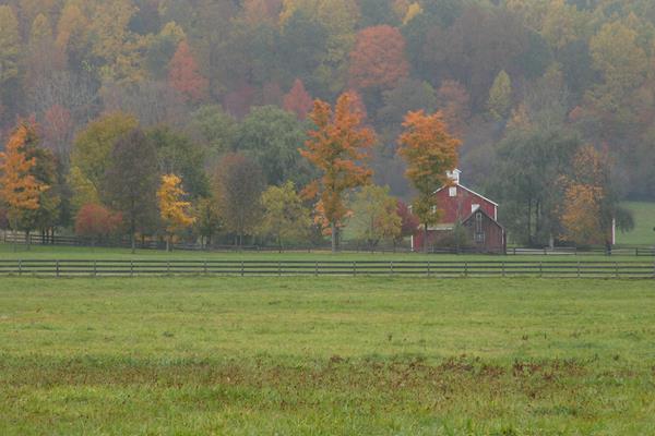 Scenic view of red barn with grassy fields in foreground and hillside of colorful leaves behind.