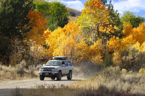 A vehicle driving on a dirt road with colorful fall foliage alongside.