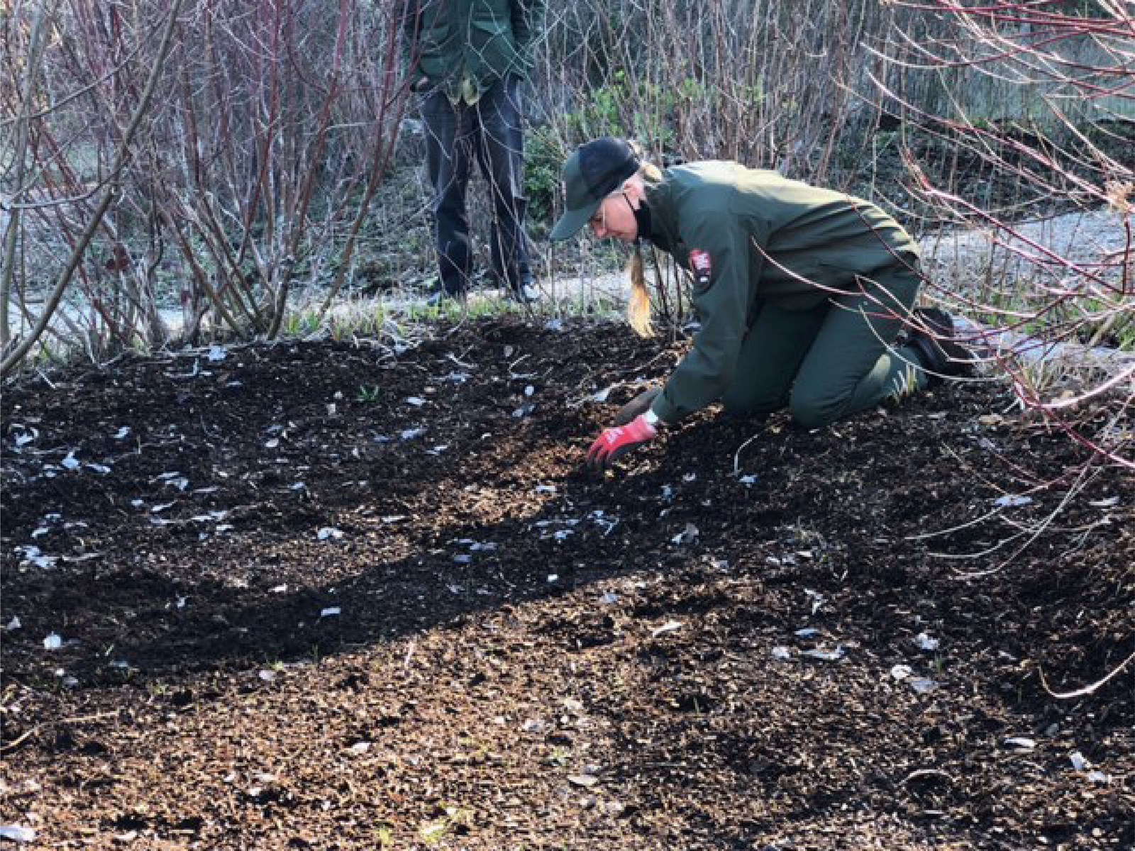 A blond ranger dressed in green uniform kneels in fresh dirt and gardens with pink gloves.