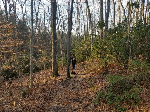 Hikers walking along a leaf covered trail
