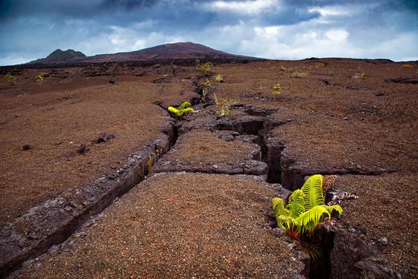 Large fissures extending towards the top of a volcano (Maunaulu)